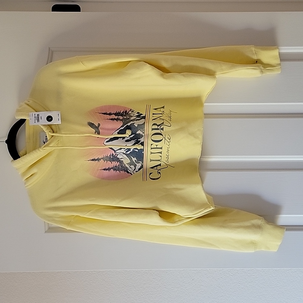 Hollister cropped hoodie